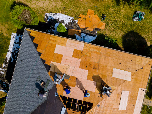 Best Storm Damage Roof Repair  in Ferrum, VA