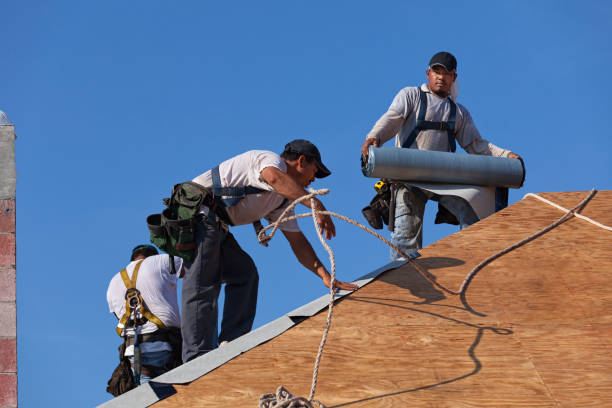 Best Roofing Contractor Near Me  in Ferrum, VA