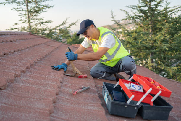 Best Roof Restoration Services  in Ferrum, VA