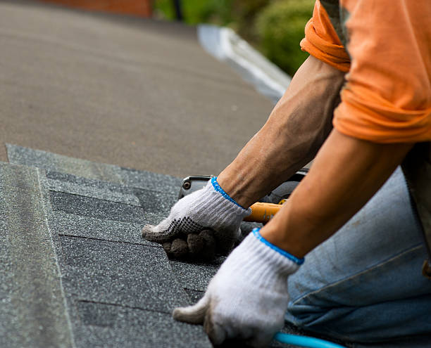 Best Roof Repair Services  in Ferrum, VA