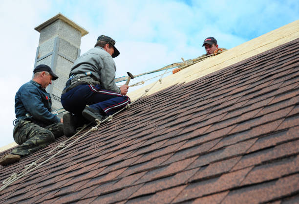 Best Gutter Installation and Roofing  in Ferrum, VA