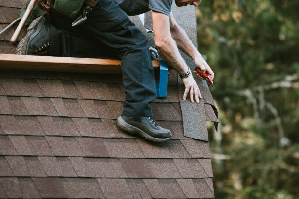 Best Roof Leak Repair  in Ferrum, VA