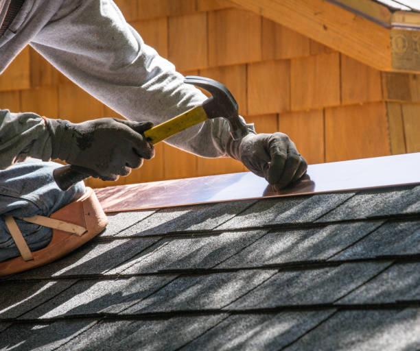 Best Roof Gutter Cleaning  in Ferrum, VA